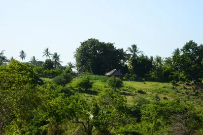 DSC_8283 (Large).JPG